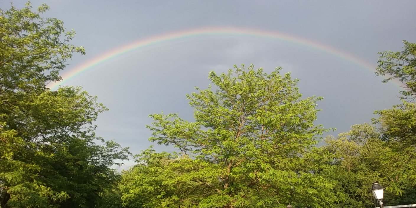 After the Storm