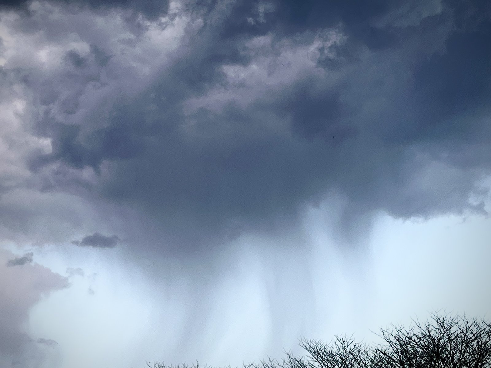 April Showers